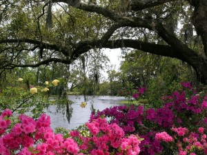 Airlie Gardens Vacation Planning Guide
