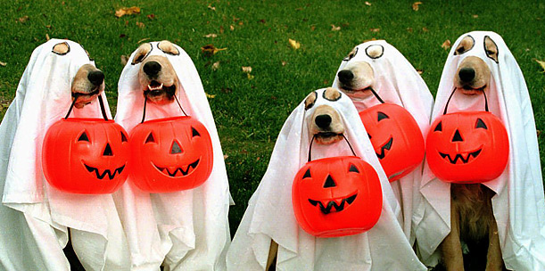 Howl-o-ween Southport